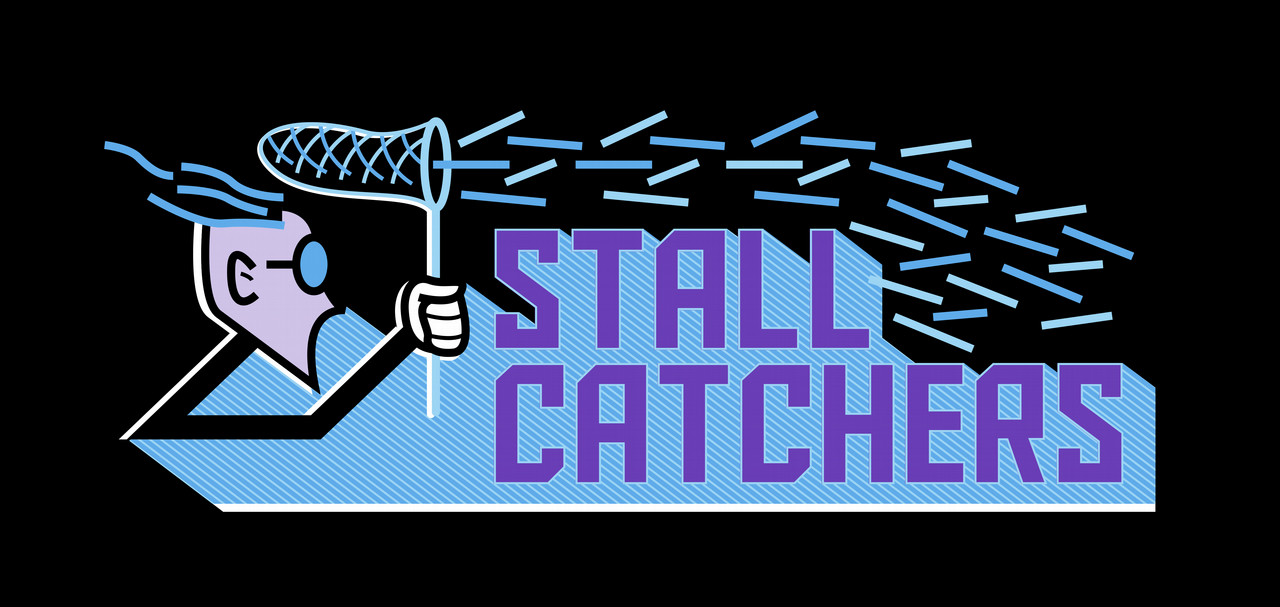 Stall Catchers